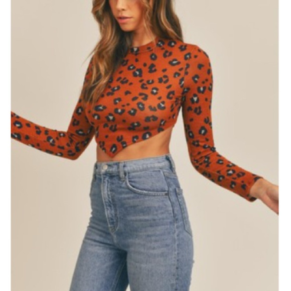 Leopard Print Long Sleeve Crop Top